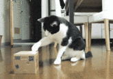 Useless Box