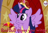 Twilight Sparkle Alicorn Controversy