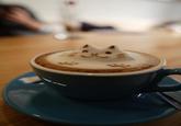 Latte Art / Coffee Art