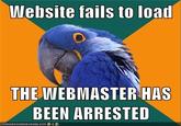 Paranoid Parrot