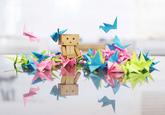 Danbo