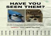 Regular Show