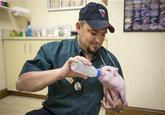 Chris P. Bacon