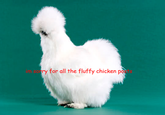 Peyton's Fluffy Chicken