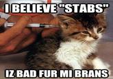 LOLcats