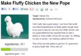 Peyton's Fluffy Chicken