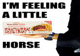 2013 Horse Meat Scandal