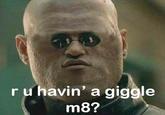 U WOT M8