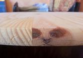 Things With Faces