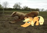 My Little Pony: Friendship is Magic