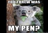 I Threw was my Pen