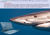 4chan