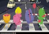 Dumb Ways to Die