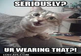 LOLcats