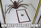 Where is Your God Now?