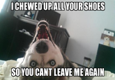 Overly Attached Girlfriend