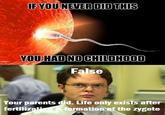 Schrute Facts