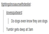 Night Blogging