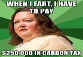 Gina Rinehart Poverty Gaffes