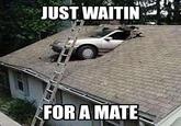 Just Waiting For A Mate