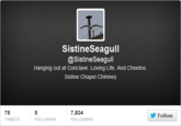 Sistine Seagull