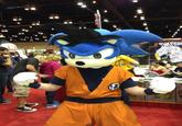 Cosplay