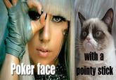 Grumpy Cat