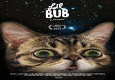Lil Bub
