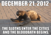 Sloths