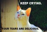 Your Tears are Delicious