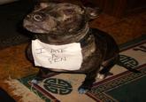 Dogshaming