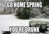 Go Home, You Are Drunk