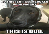 Yes, This is Dog