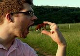 Forced Perspective