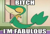 Bitch I'm Fabulous