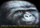 That Really Rustled My Jimmies