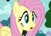 My Little Pony: Friendship is Magic
