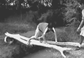 Fall of Edgar