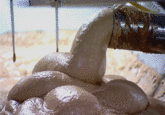 Cinemagraphs