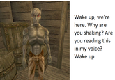 The Elder Scrolls