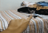 Do A Barrel Roll