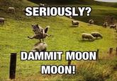Moon Moon