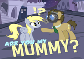 Doctor Whooves / Time Turner