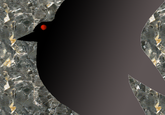 b37.png