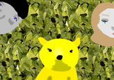 326.png