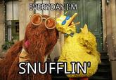 Everyday I'm Shufflin'