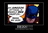 Bees. My god.