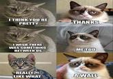 A cat is fine too....