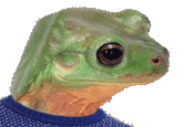 Feels Bad Man / Sad Frog