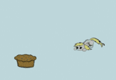 Derpy Hooves